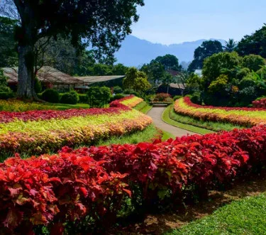 Königlicher Botanischer Garten Kandy - Sri Lanka