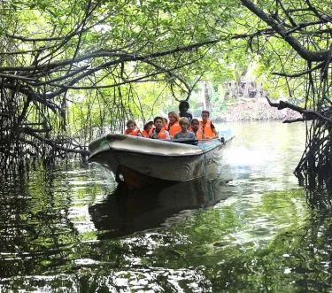 Madu River Boat Safari - Sri Lanka
