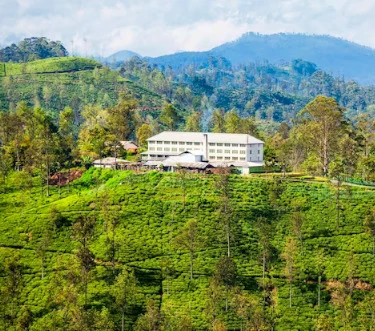 Tee-Fabrik und Tee-Plantage in Nuwara Eliya - Sri Lanka